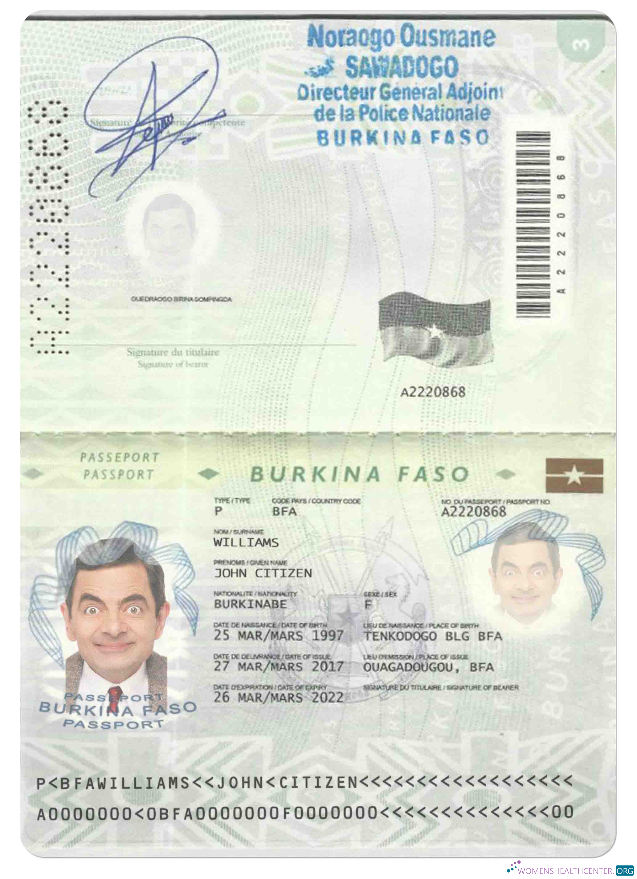 Download Burkina Faso passport (2008   2018) Photoshop template